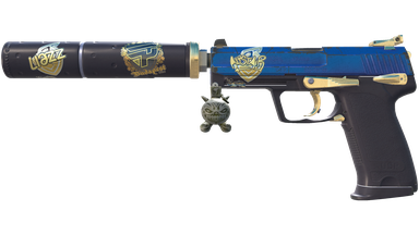 USP-S | Royal Guard (Field-Tested)